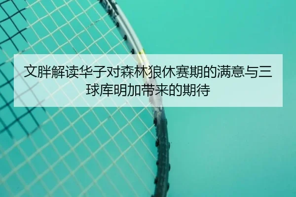 文胖解读华子对森林狼休赛期的满意与三球库明加带来的期待